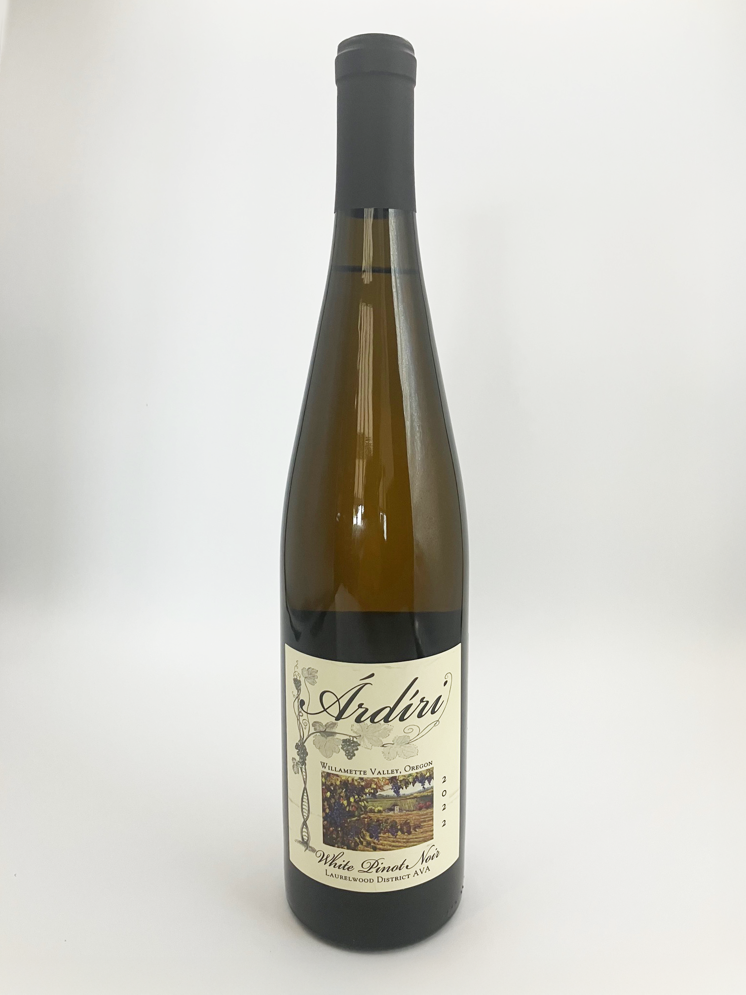 white pinot noir